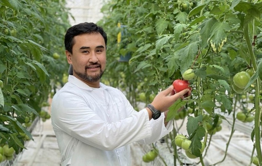 Серийный предприниматель Мурат Бараев построил теплицу, которая за сезон дает 1 800 тонн томатов и 180 тонн клубники